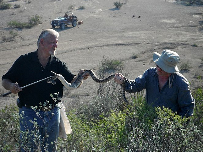 Rattlesnake Republic - Z filmu