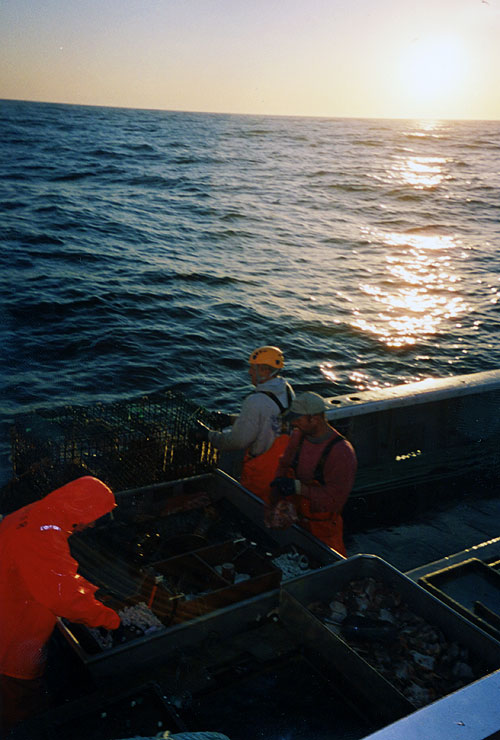 Deadliest Catch: Lobstermen - Van film