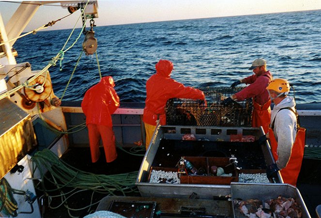 Deadliest Catch: Lobstermen - Filmfotók