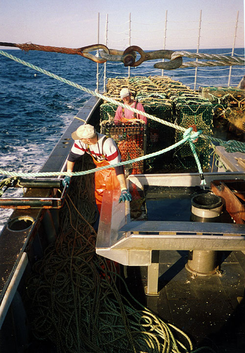 Deadliest Catch: Lobstermen - Photos