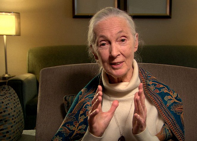 Jak přežít pokrok - Z filmu - Jane Goodall