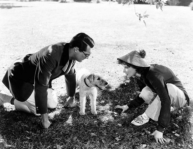 Leopardia žena - Z filmu - Cary Grant, Asta, Katharine Hepburn