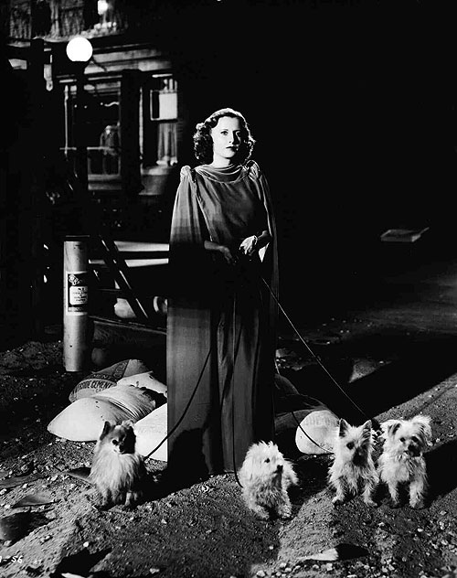 Miss Manton est folle - Film - Barbara Stanwyck