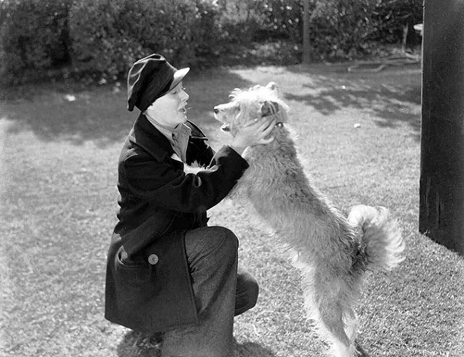 Meine liebste Frau - Filmfotos - Irene Dunne