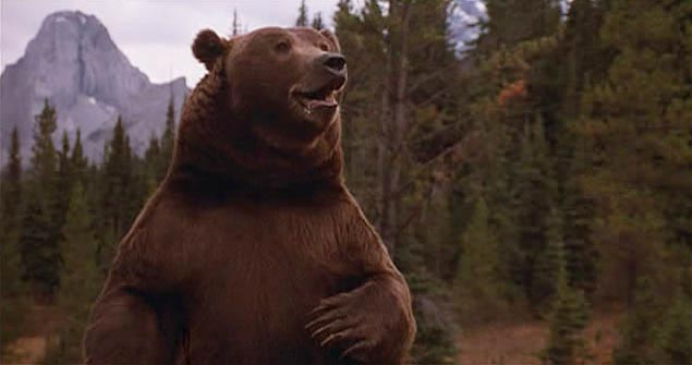 Wielka niedźwiedzica - Z filmu - niedźwiedź Bart
