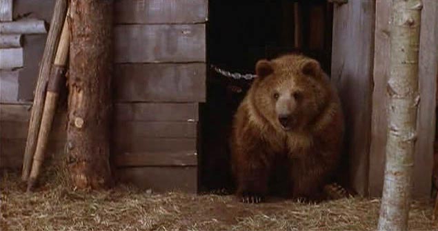 La Légende de l'ours - Film