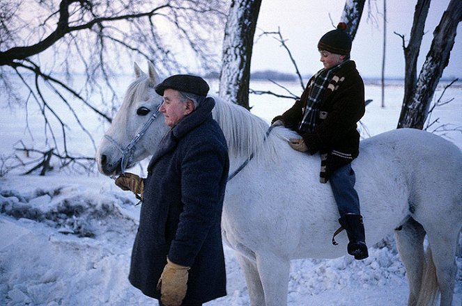 The Last Winter - Kuvat elokuvasta