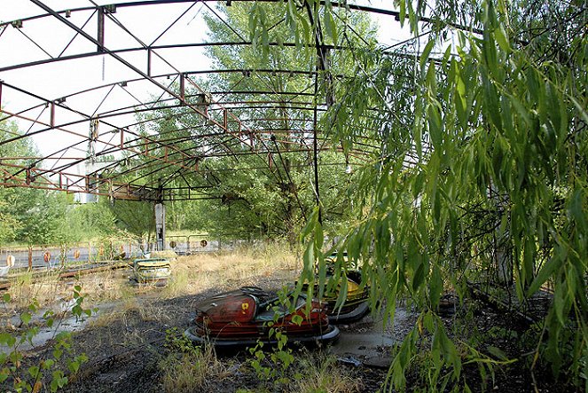 Tchernobyl : Une histore naturelle - Van film