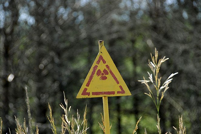 Tchernobyl : Une histore naturelle - De la película