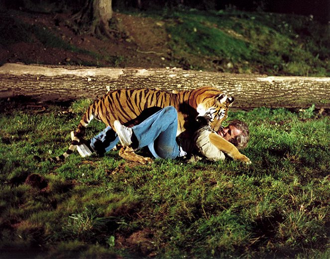 Az állat - Filmfotók - Jean-Paul Belmondo