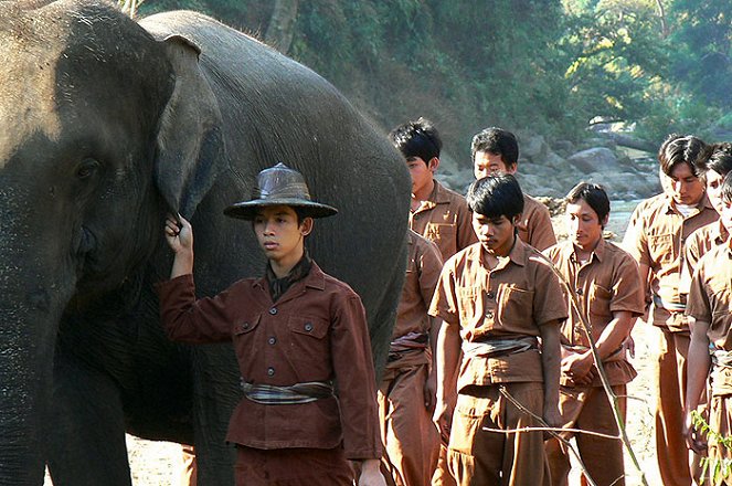 Sunny et l'éléphant - De la película