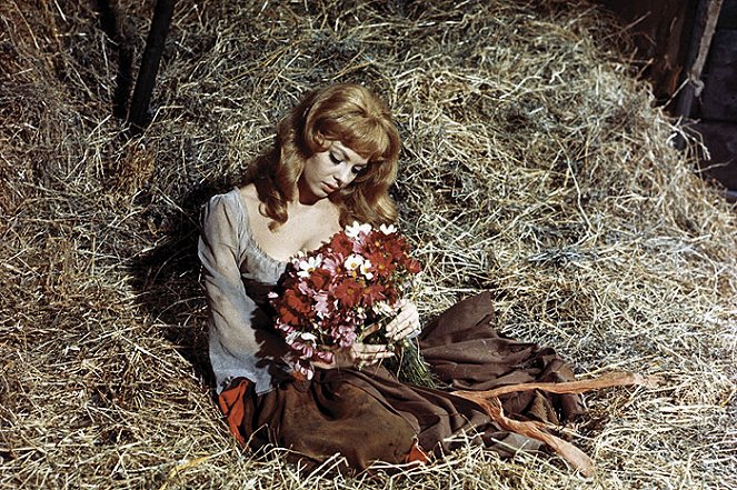 A csodálatos Angélique - Filmfotók - Michèle Mercier