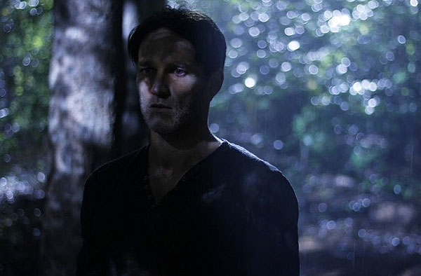 Devil in the Woods - Photos - Stephen Moyer