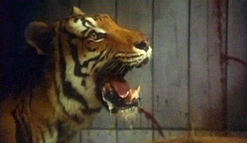 Ilsa, la tigresa de Siberia - De la película