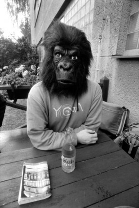 Gorila - Filmfotók