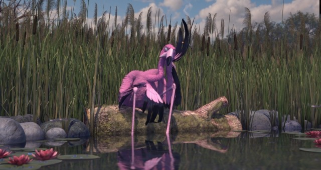 Flamingo Pride - Filmfotók