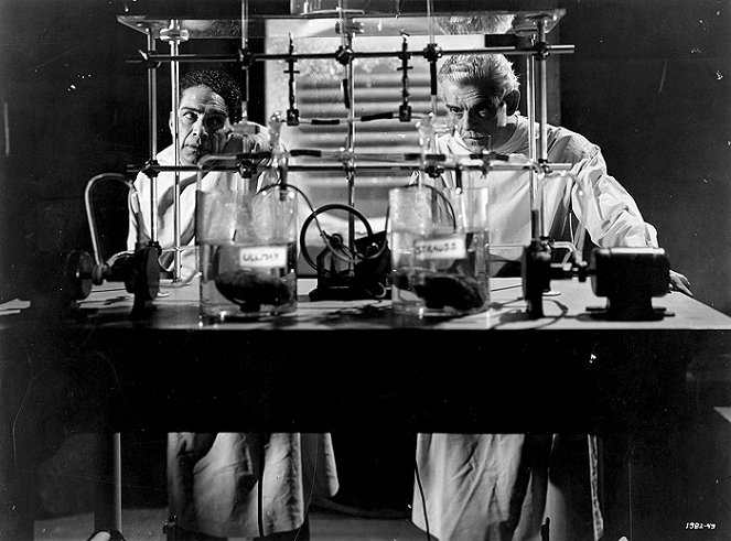 Frankensteins Haus - Filmfotos - J. Carrol Naish, Boris Karloff