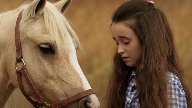 Princess and the Pony - De la película