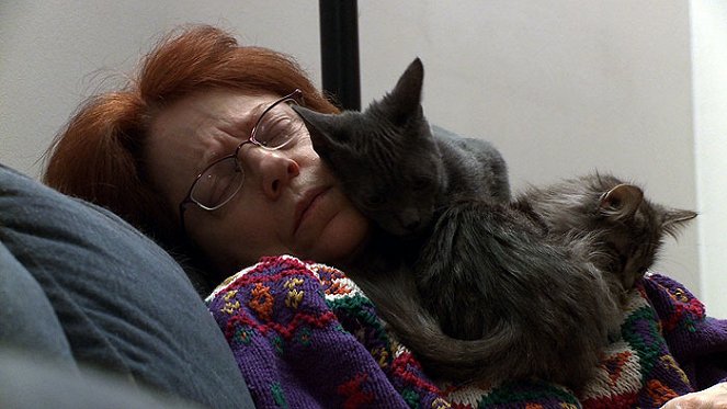 Kočičí mámy - Z filmu