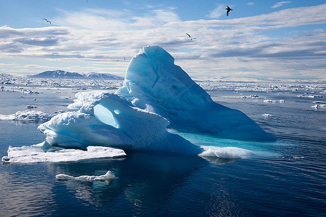 To the Arctic 3D - Kuvat elokuvasta