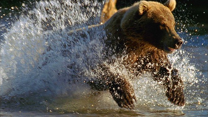 Wild Russia - Do filme