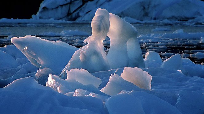 Wildest Arctic - Kuvat elokuvasta