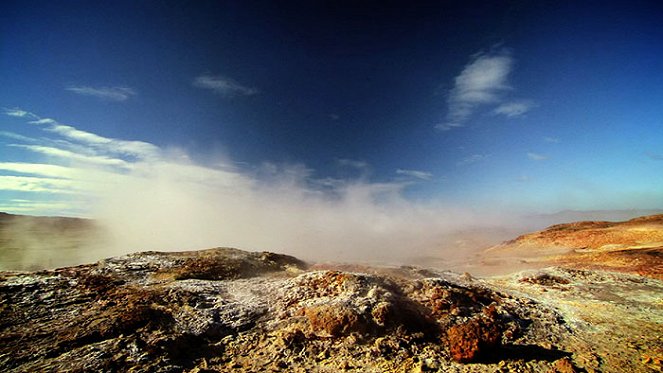 Wildest Arctic - Photos