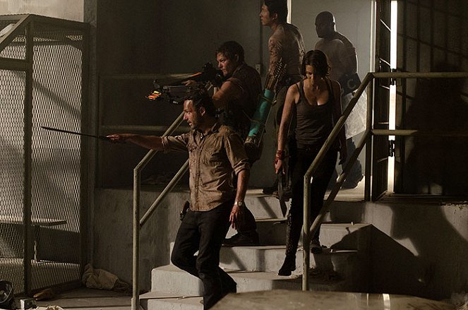 The Walking Dead - Die Saat - Filmfotos - Andrew Lincoln, Norman Reedus, Steven Yeun, Lauren Cohan, Irone Singleton