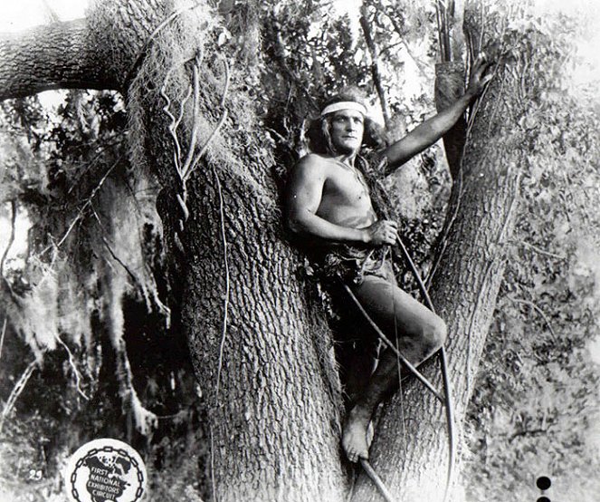 Tarzan of the Apes - Filmfotos - Elmo Lincoln