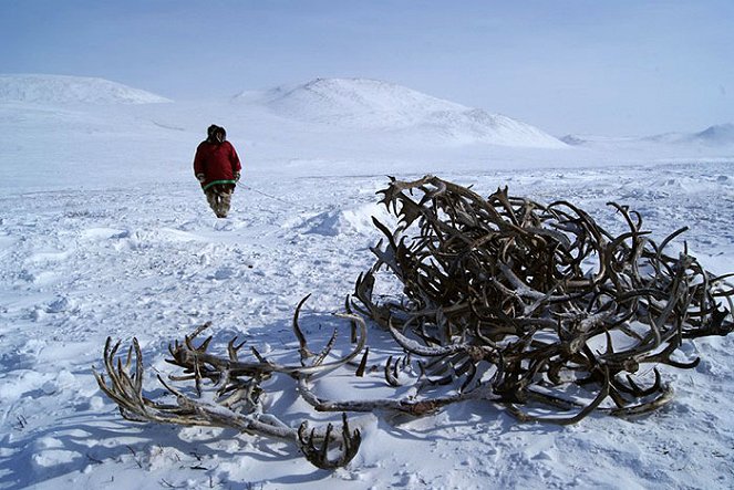 Armoton tundra - Kuvat elokuvasta