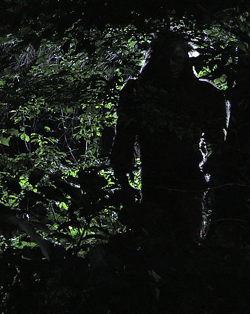 Sweet Prudence & die erotischen Abenteuer des Bigfoot - Filmfotos