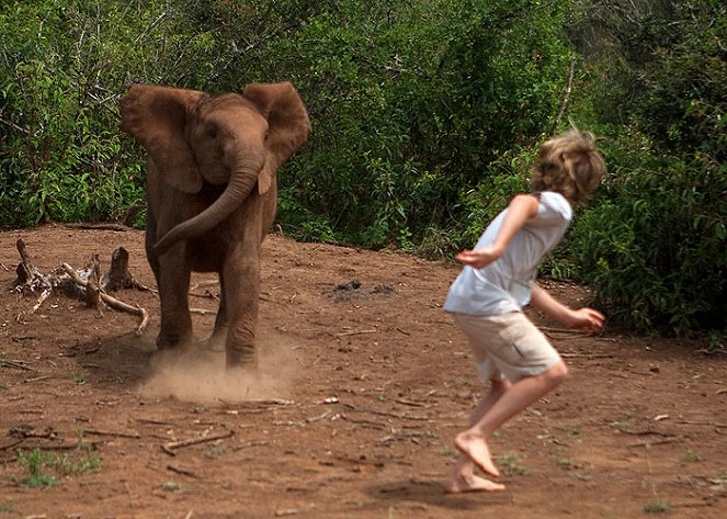 For the Love of Elephants - Kuvat elokuvasta