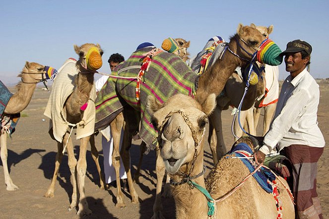 Camels That Race - Do filme