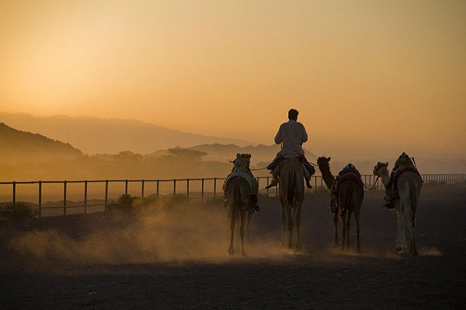 Camels That Race - Van film