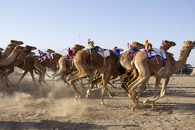 Camels That Race - Filmfotók