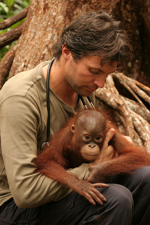 Orangutan Diary - Z filmu