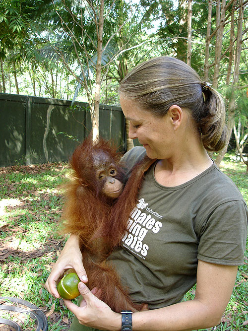 Orangutan Diary - Photos