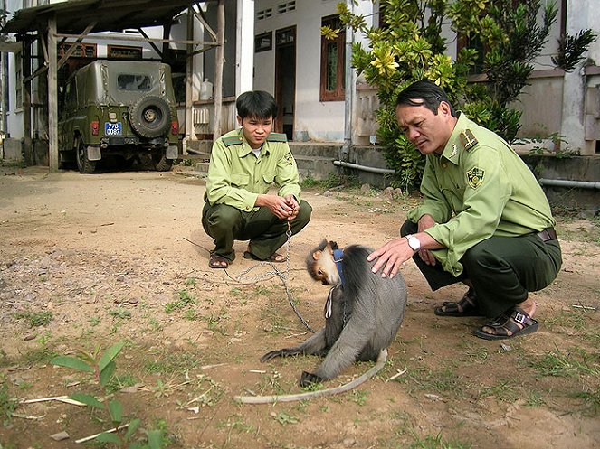 Wildlife SOS - Filmfotos