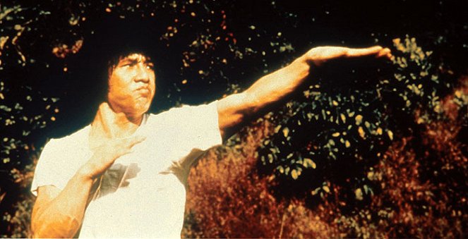 L'Ombre du serpent - Film - Jackie Chan