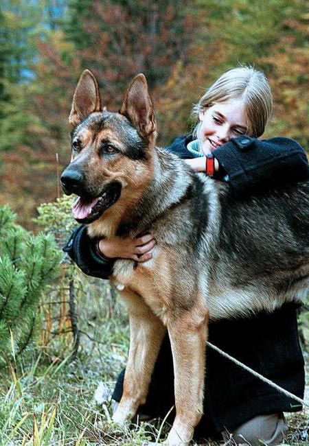 Mein Freund der Wolf - De la película - Verena Lehmenhecker