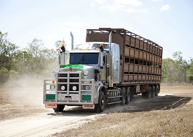 World's Toughest Trucker - Photos