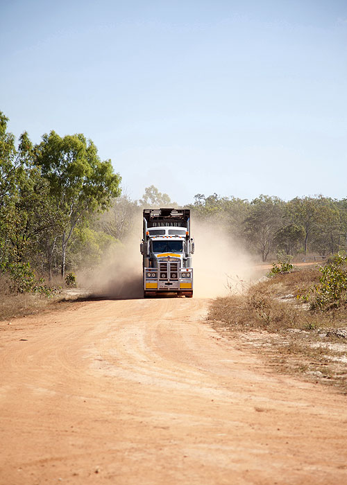 World's Toughest Trucker - Photos