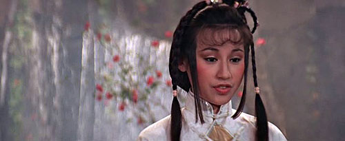 Xin fei hu wai chuan - De la película