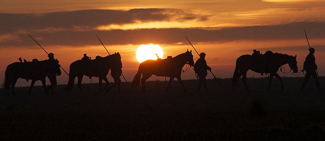 War Horse: the Real Story - Photos