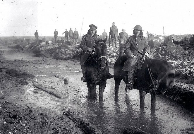 Hadak útján – Az első világháború lovai - Filmfotók