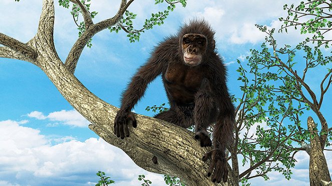 Šimpanzi - téměř lidé - Z filmu
