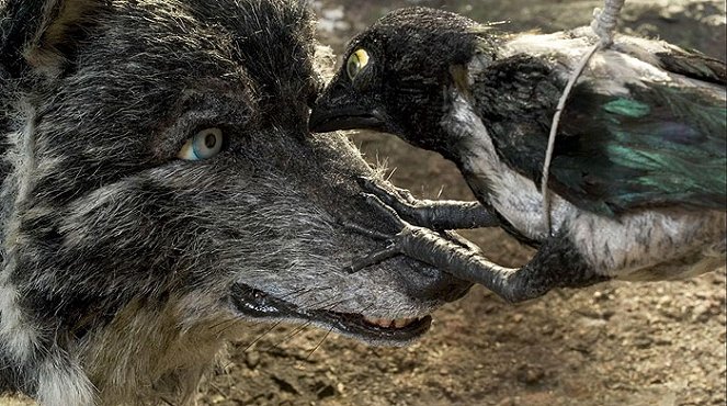 Peter & the Wolf - Filmfotók
