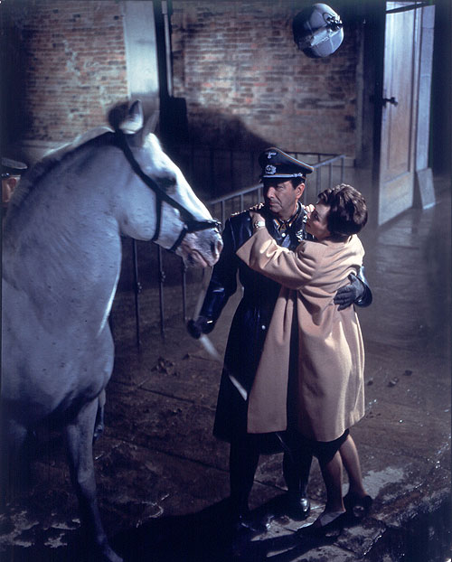 Miracle of the White Stallions - Photos - Robert Taylor, Lilli Palmer