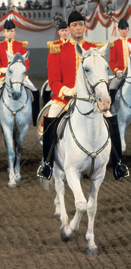 Miracle of the White Stallions - Z filmu - Robert Taylor