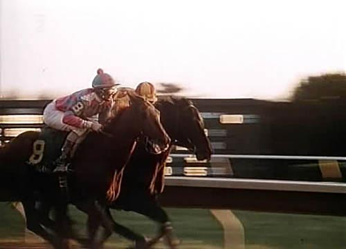 A Horse for Danny - De la película